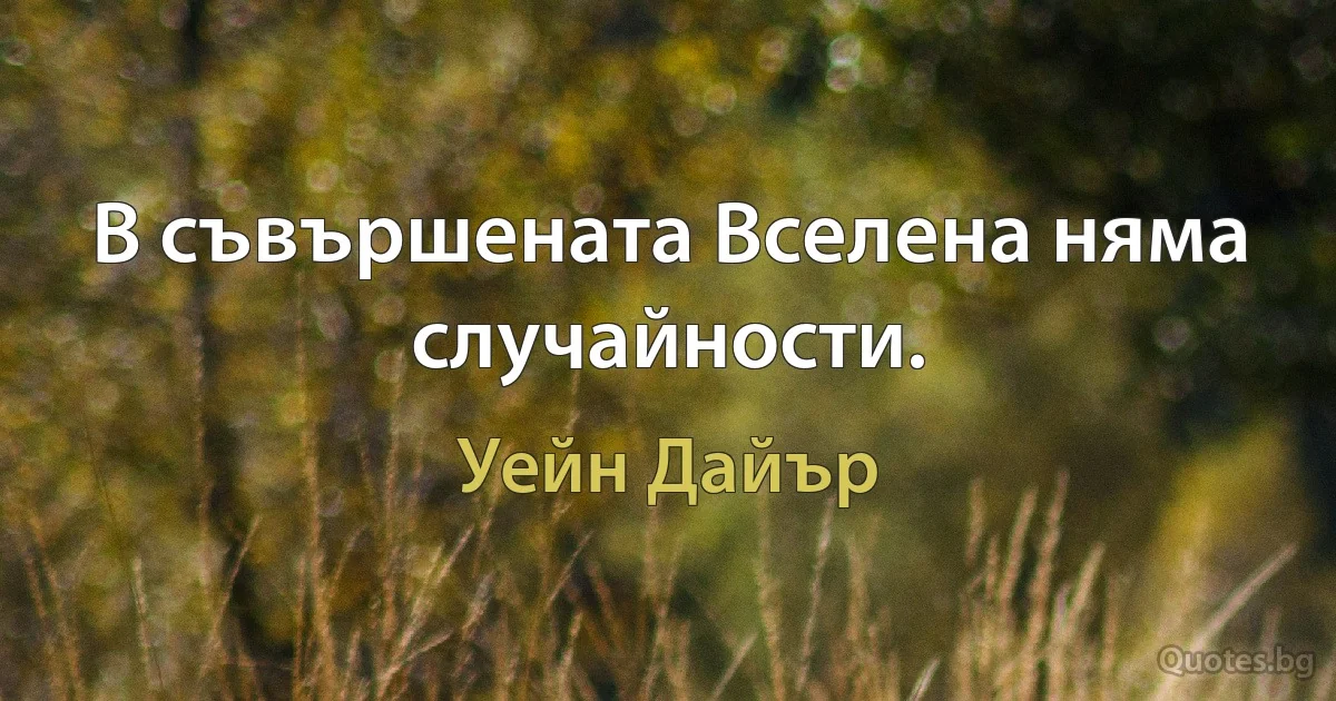 В съвършената Вселена няма случайности. (Уейн Дайър)