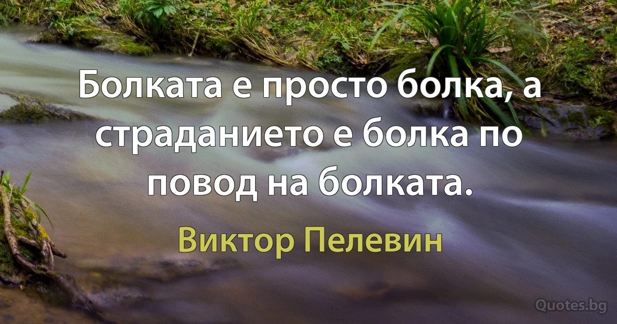 Болката е просто болка, а страданието е болка по повод на болката. (Виктор Пелевин)