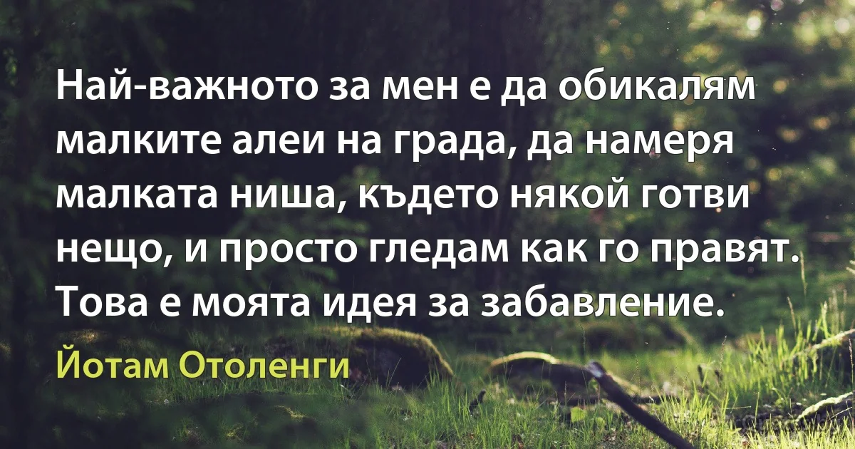 Най-важното за мен е да обикалям малките алеи на града, да намеря малката ниша, където някой готви нещо, и просто гледам как го правят. Това е моята идея за забавление. (Йотам Отоленги)