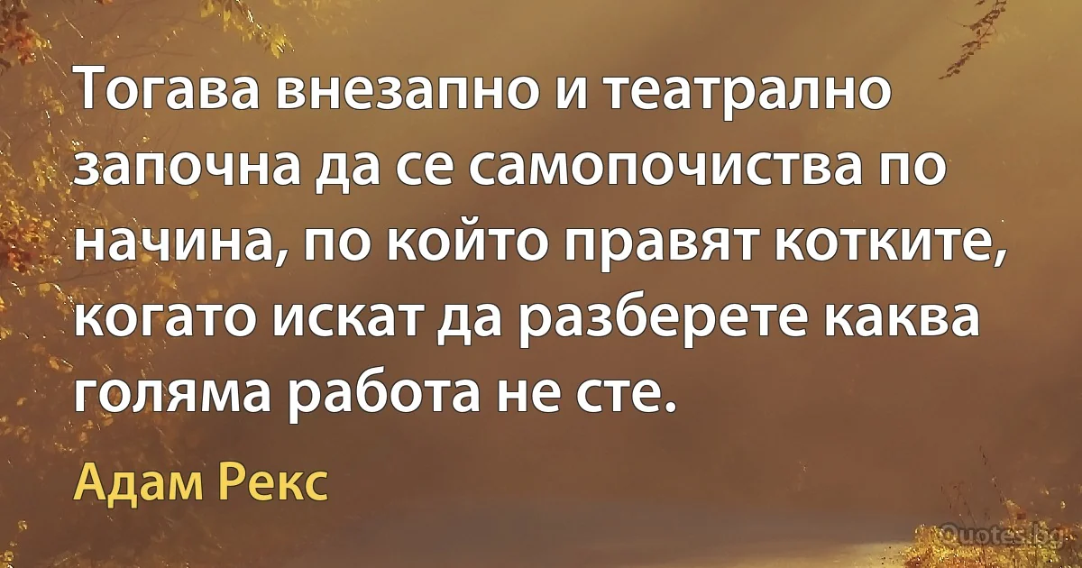 Тогава внезапно и театрално започна да се самопочиства по начина, по който правят котките, когато искат да разберете каква голяма работа не сте. (Адам Рекс)