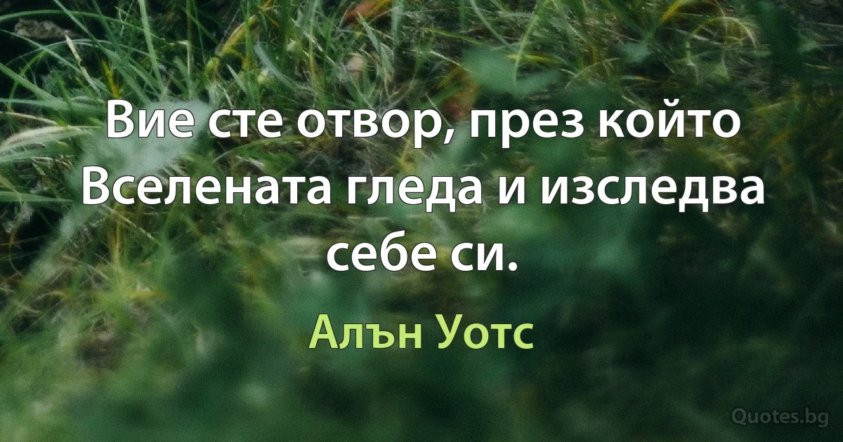 Вие сте отвор, през който Вселената гледа и изследва себе си. (Алън Уотс)