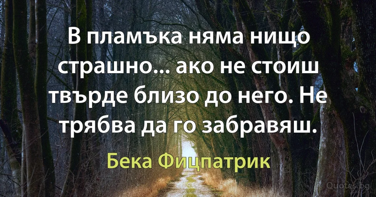 В пламъка няма нищо страшно... ако не стоиш твърде близо до него. Не трябва да го забравяш. (Бека Фицпатрик)