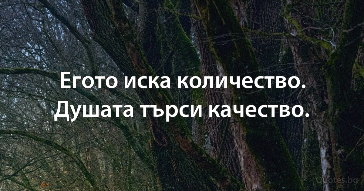 Егото иска количество. Душата търси качество. (INZ BG)