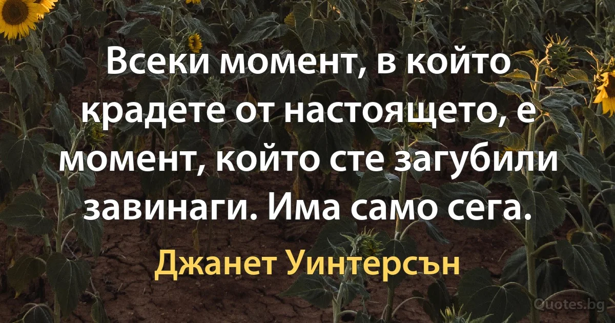 Всеки момент, в който крадете от настоящето, е момент, който сте загубили завинаги. Има само сега. (Джанет Уинтерсън)