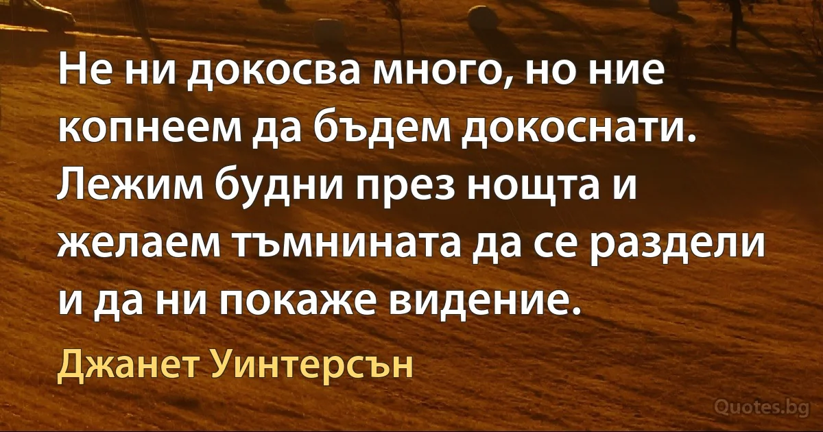 Не ни докосва много, но ние копнеем да бъдем докоснати. Лежим будни през нощта и желаем тъмнината да се раздели и да ни покаже видение. (Джанет Уинтерсън)