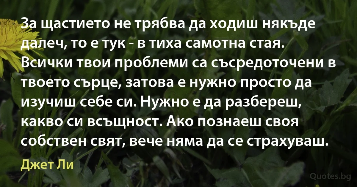 За щастието не трябва да ходиш някъде далеч, то е тук - в тиха самотна стая. Всички твои проблеми са съсредоточени в твоето сърце, затова е нужно просто да изучиш себе си. Нужно е да разбереш, какво си всъщност. Ако познаеш своя собствен свят, вече няма да се страхуваш. (Джет Ли)