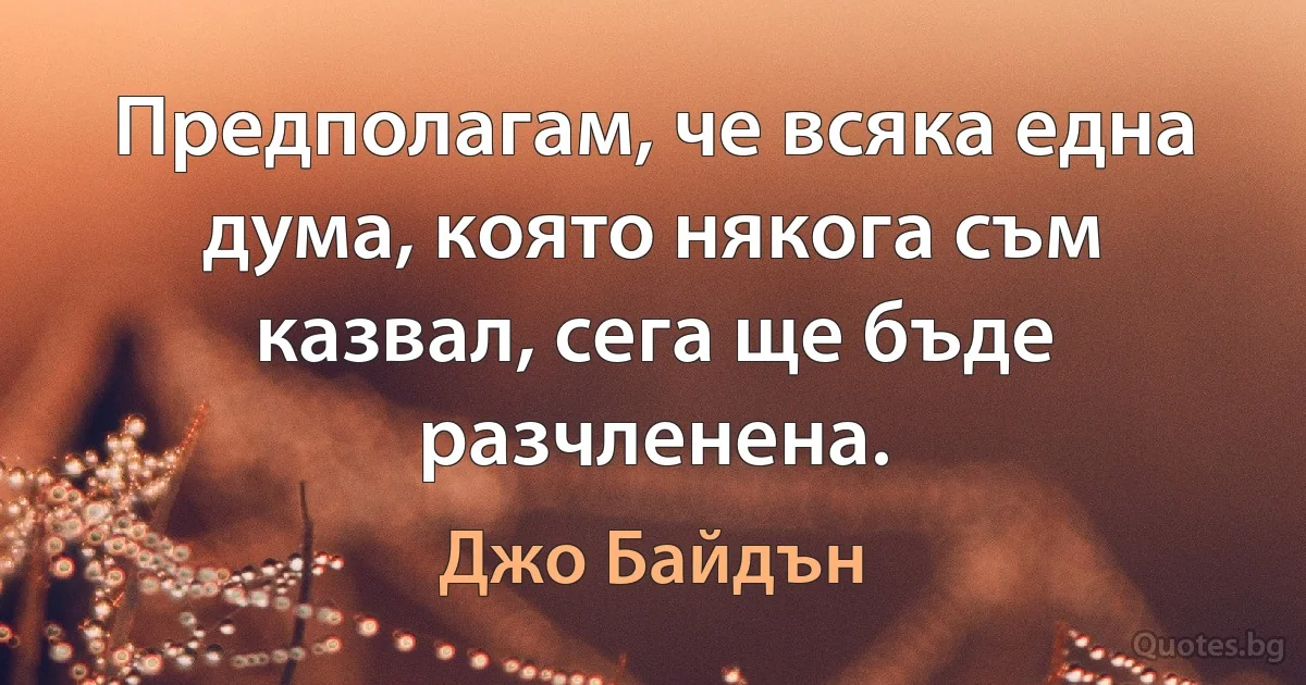 Предполагам, че всяка една дума, която някога съм казвал, сега ще бъде разчленена. (Джо Байдън)