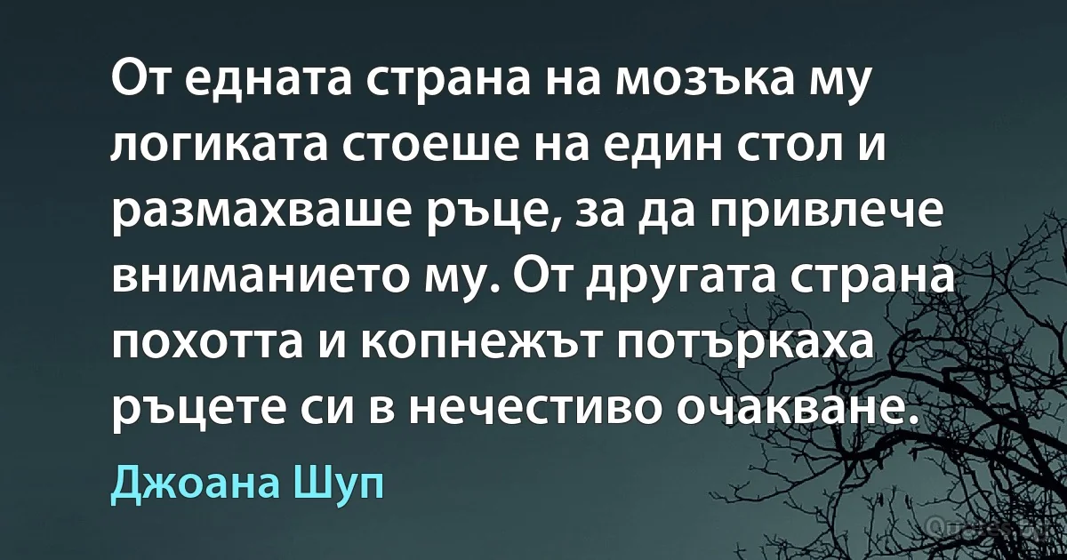 От едната страна на мозъка му логиката стоеше на един стол и размахваше ръце, за да привлече вниманието му. От другата страна похотта и копнежът потъркаха ръцете си в нечестиво очакване. (Джоана Шуп)