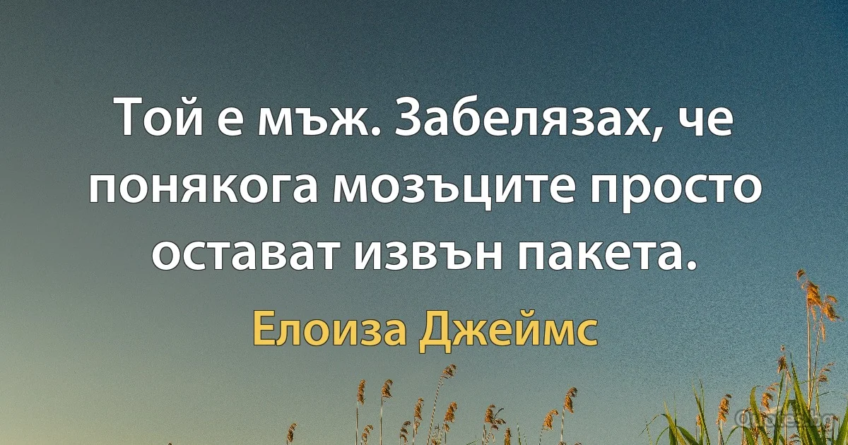 Той е мъж. Забелязах, че понякога мозъците просто остават извън пакета. (Елоиза Джеймс)