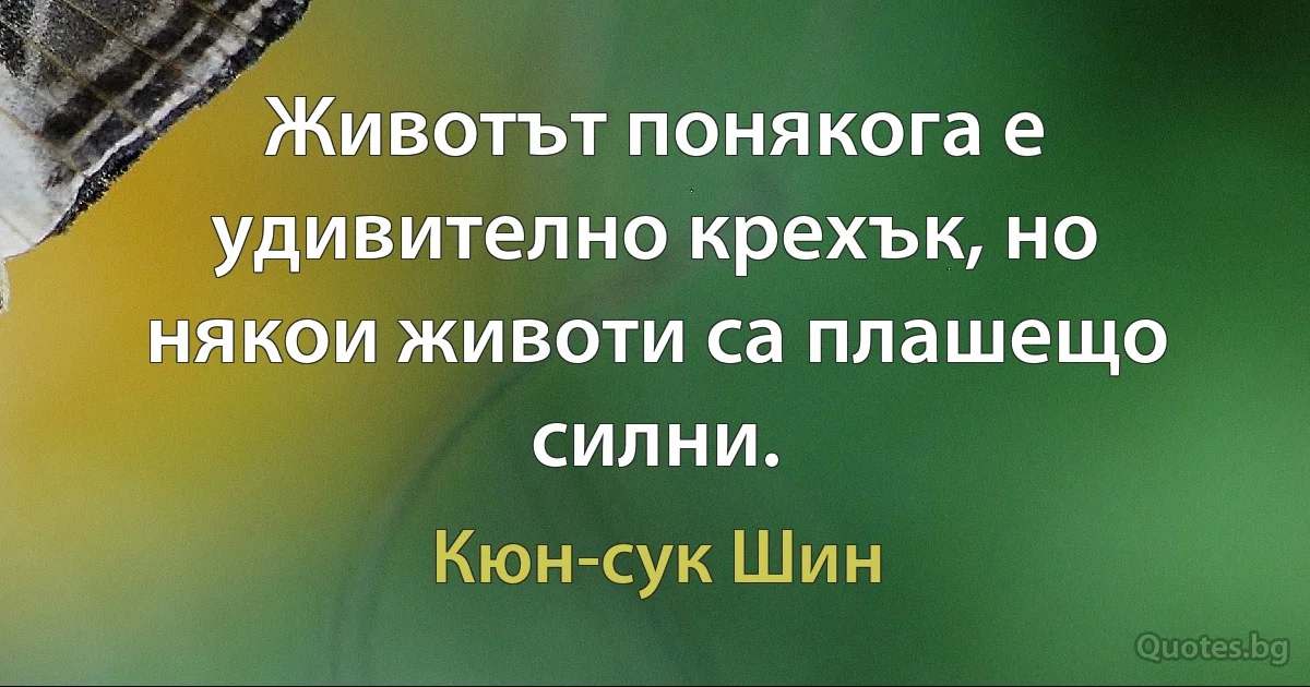 Животът понякога е удивително крехък, но някои животи са плашещо силни. (Кюн-сук Шин)