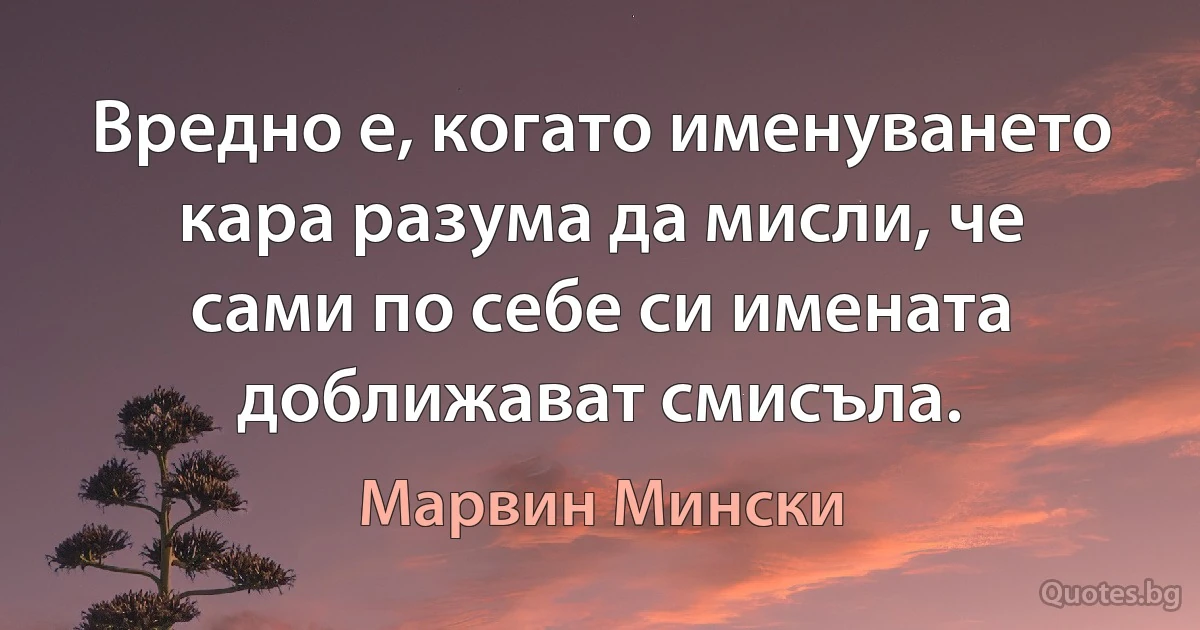 Вредно е, когато именуването кара разума да мисли, че сами по себе си имената доближават смисъла. (Марвин Мински)