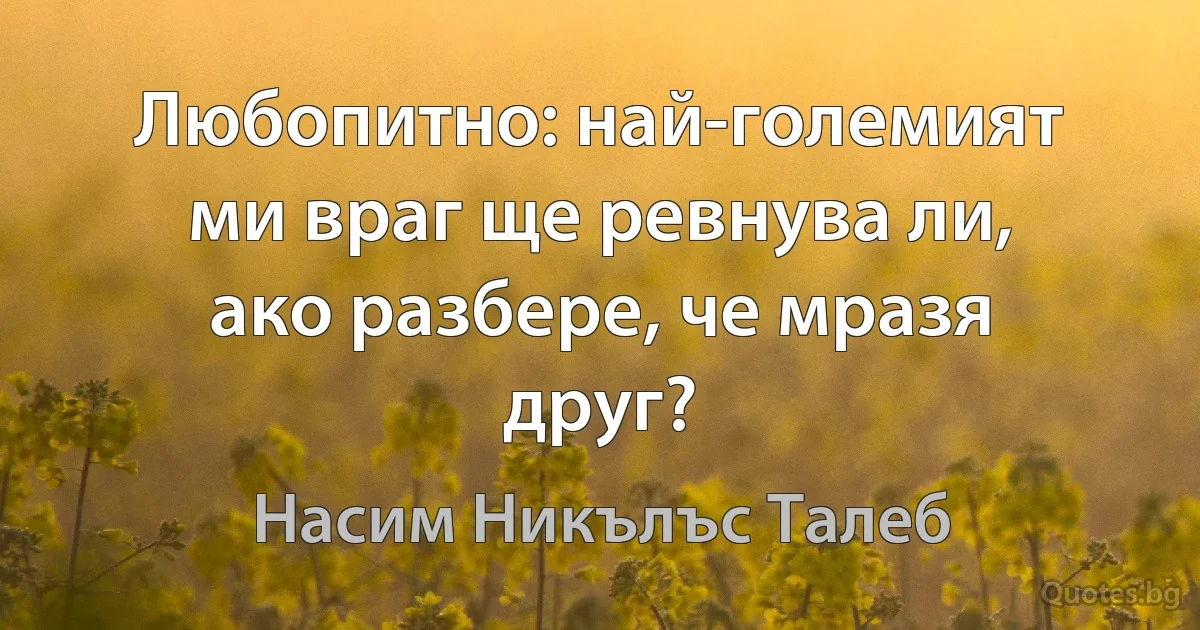 Любопитно: най-големият ми враг ще ревнува ли, ако разбере, че мразя друг? (Насим Никълъс Талеб)