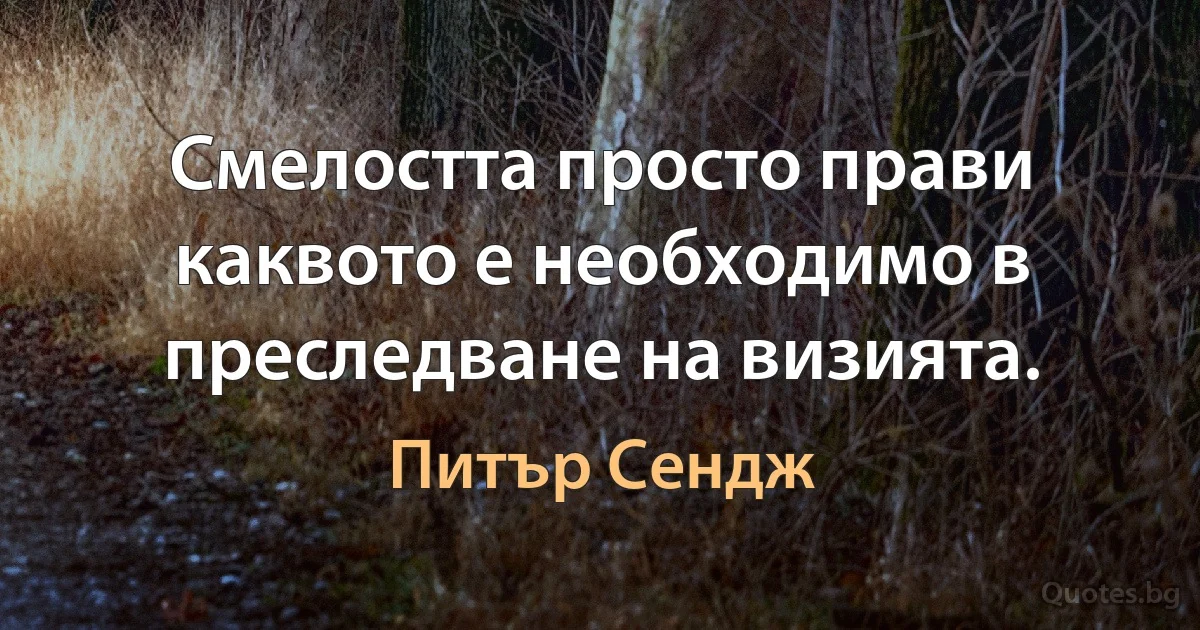 Смелостта просто прави каквото е необходимо в преследване на визията. (Питър Сендж)