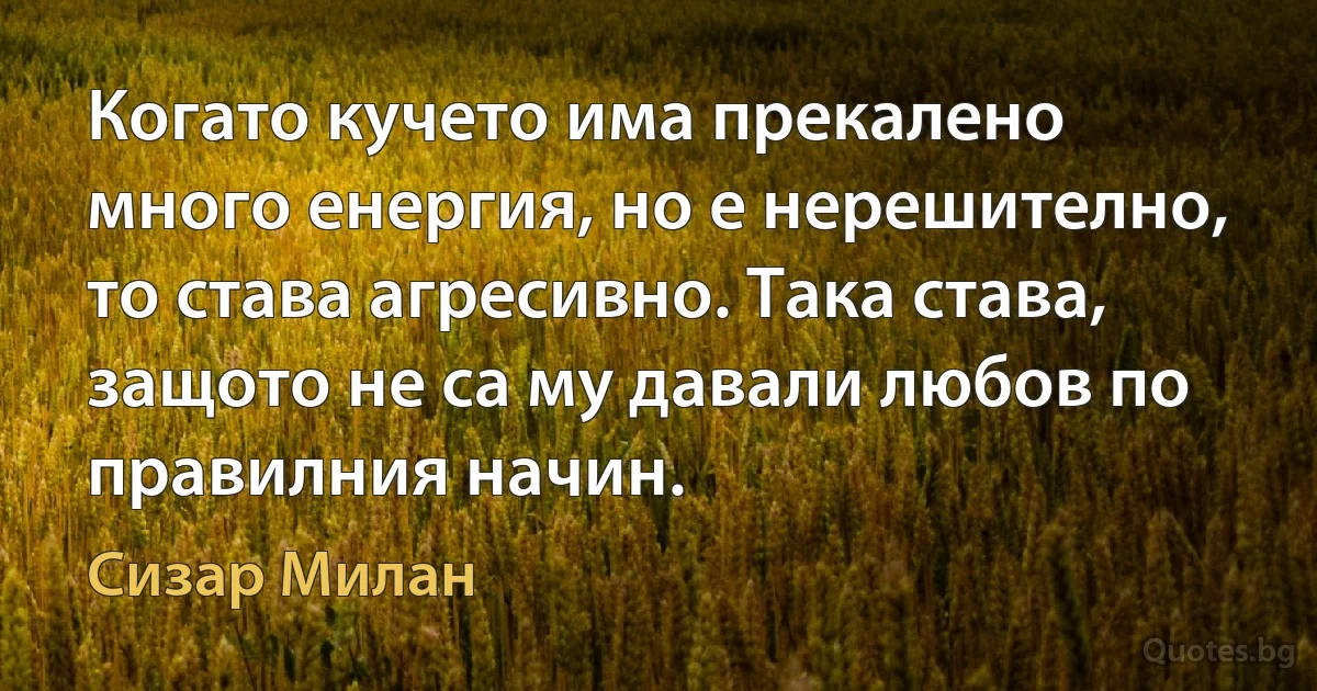 Когато кучето има прекалено много енергия, но е нерешително, то става агресивно. Така става, защото не са му давали любов по правилния начин. (Сизар Милан)