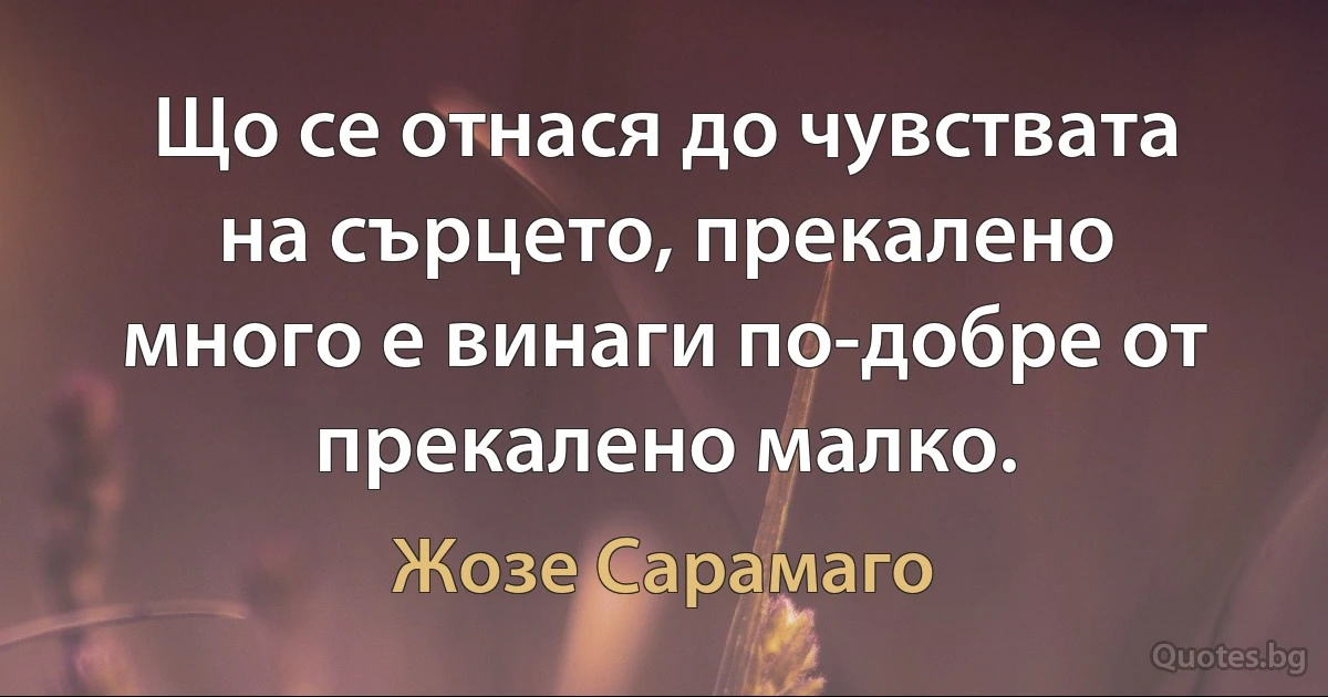 Що се отнася до чувствата на сърцето, прекалено много е винаги по-добре от прекалено малко. (Жозе Сарамаго)