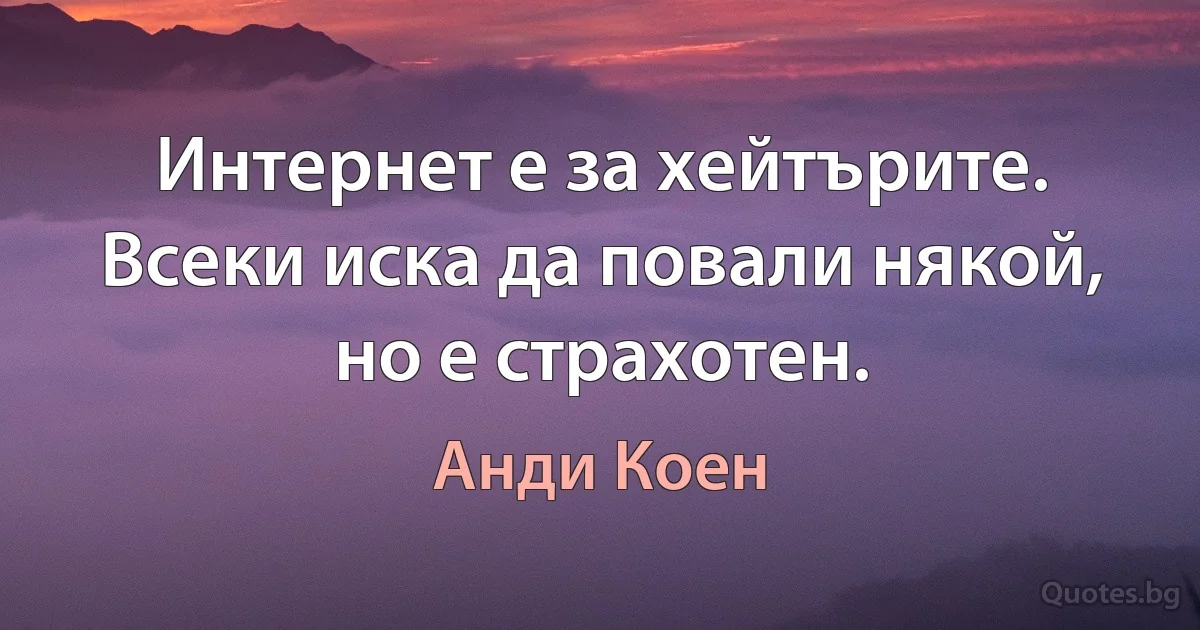 Интернет е за хейтърите. Всеки иска да повали някой, но е страхотен. (Анди Коен)