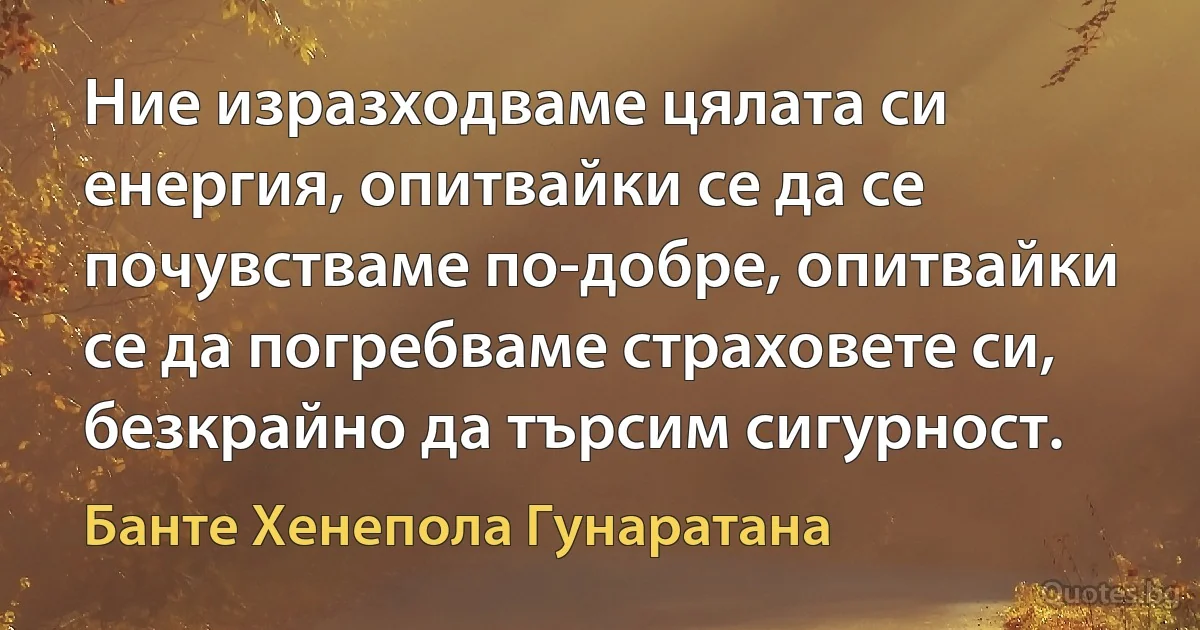 Ние изразходваме цялата си енергия, опитвайки се да се почувстваме по-добре, опитвайки се да погребваме страховете си, безкрайно да търсим сигурност. (Банте Хенепола Гунаратана)