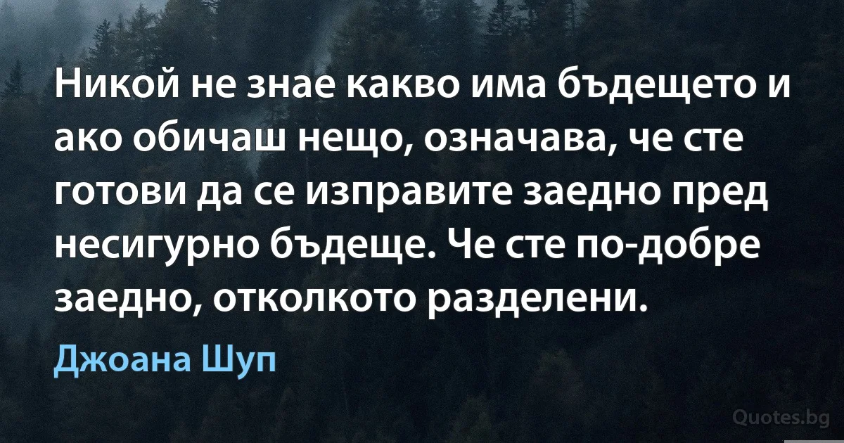 Никой не знае какво има бъдещето и ако обичаш нещо, означава, че сте готови да се изправите заедно пред несигурно бъдеще. Че сте по-добре заедно, отколкото разделени. (Джоана Шуп)