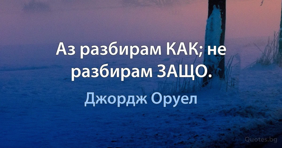 Аз разбирам КАК; не разбирам ЗАЩО. (Джордж Оруел)