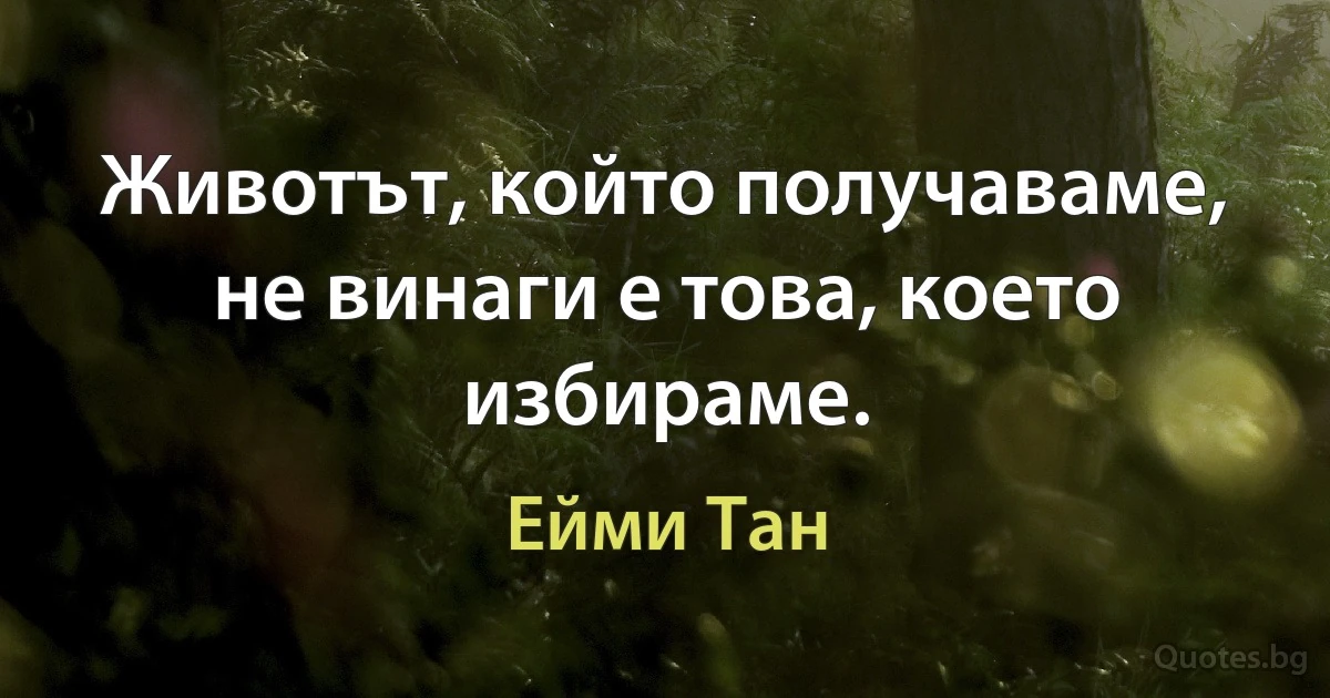 Животът, който получаваме, не винаги е това, което избираме. (Ейми Тан)