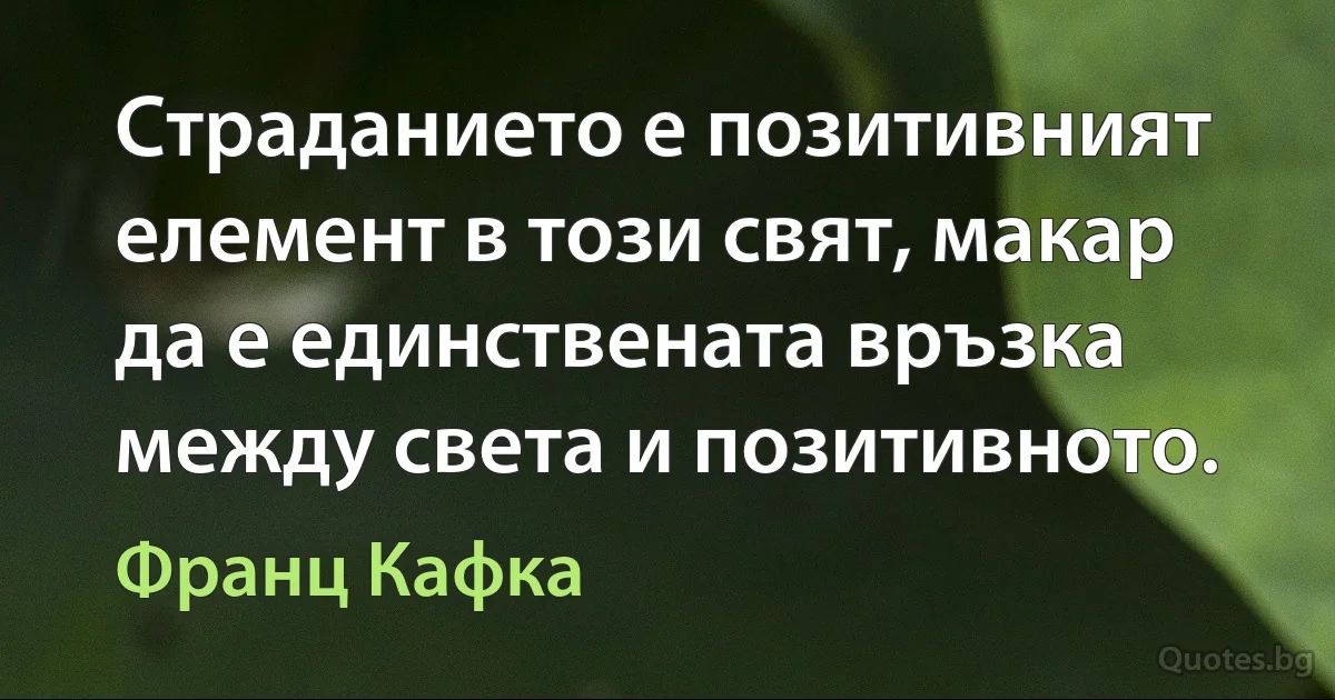 Страданието е позитивният елемент в този свят, макар да е единствената връзка между света и позитивното. (Франц Кафка)