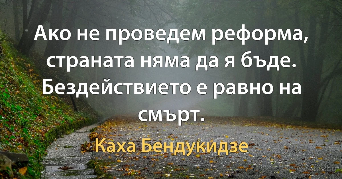 Ако не проведем реформа, страната няма да я бъде. Бездействието е равно на смърт. (Каха Бендукидзе)