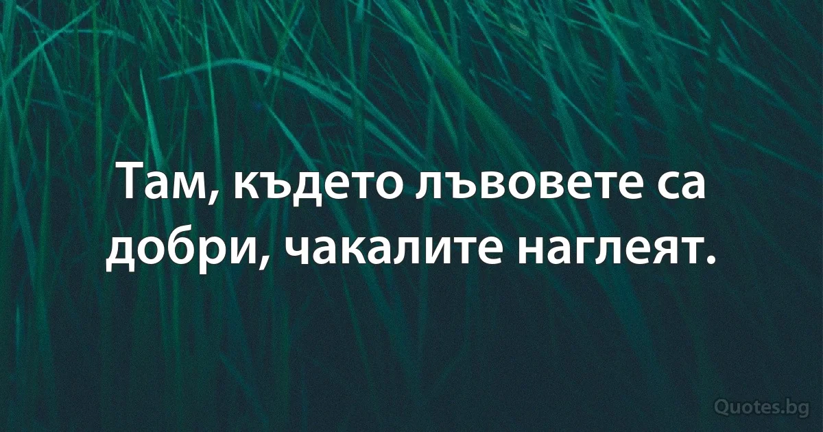 Там, където лъвовете са добри, чакалите наглеят. (INZ BG)