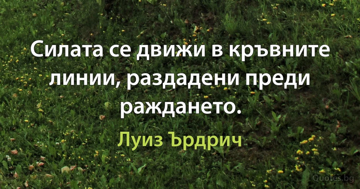 Силата се движи в кръвните линии, раздадени преди раждането. (Луиз Ърдрич)