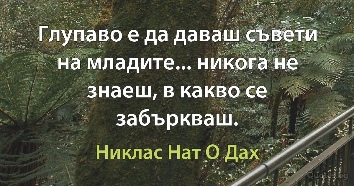 Глупаво е да даваш съвети на младите... никога не знаеш, в какво се забъркваш. (Никлас Нат О Дах)