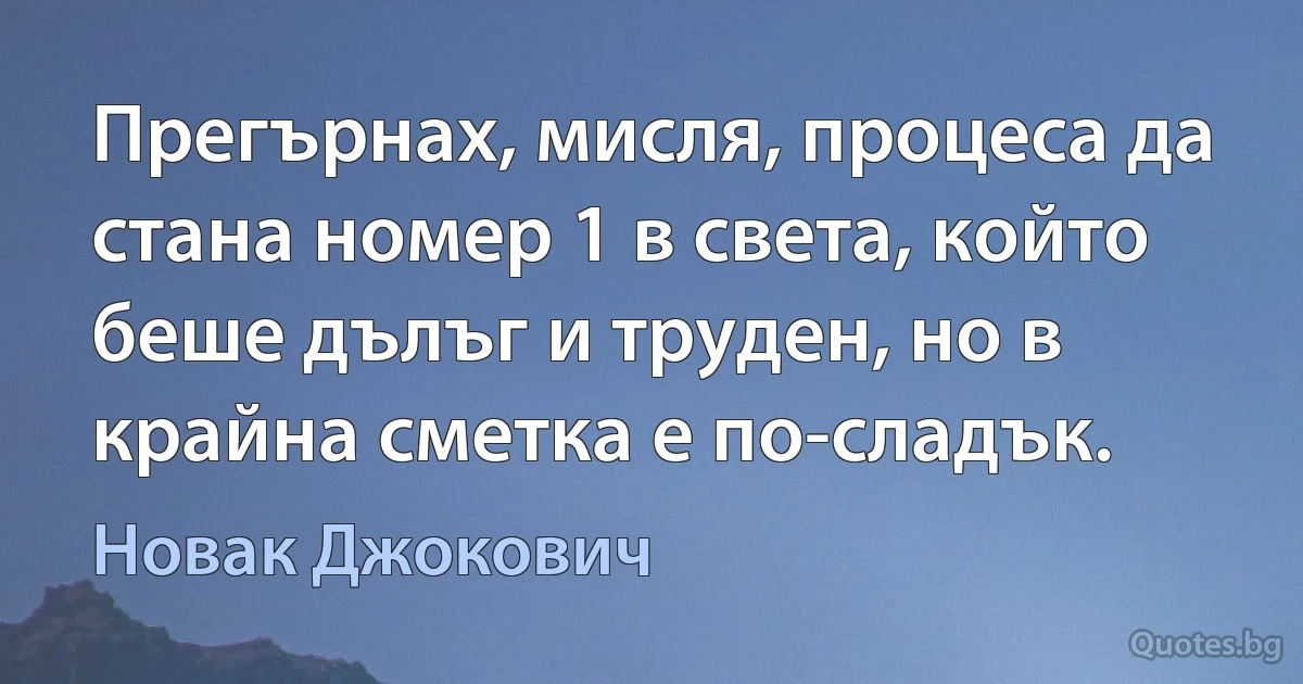 Прегърнах, мисля, процеса да стана номер 1 в света, който беше дълъг и труден, но в крайна сметка е по-сладък. (Новак Джокович)