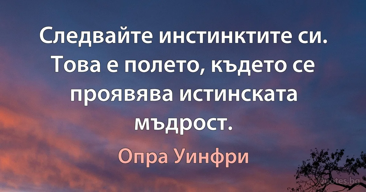 Следвайте инстинктите си. Това е полето, където се проявява истинската мъдрост. (Опра Уинфри)