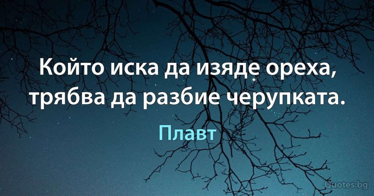 Който иска да изяде ореха, трябва да разбие черупката. (Плавт)