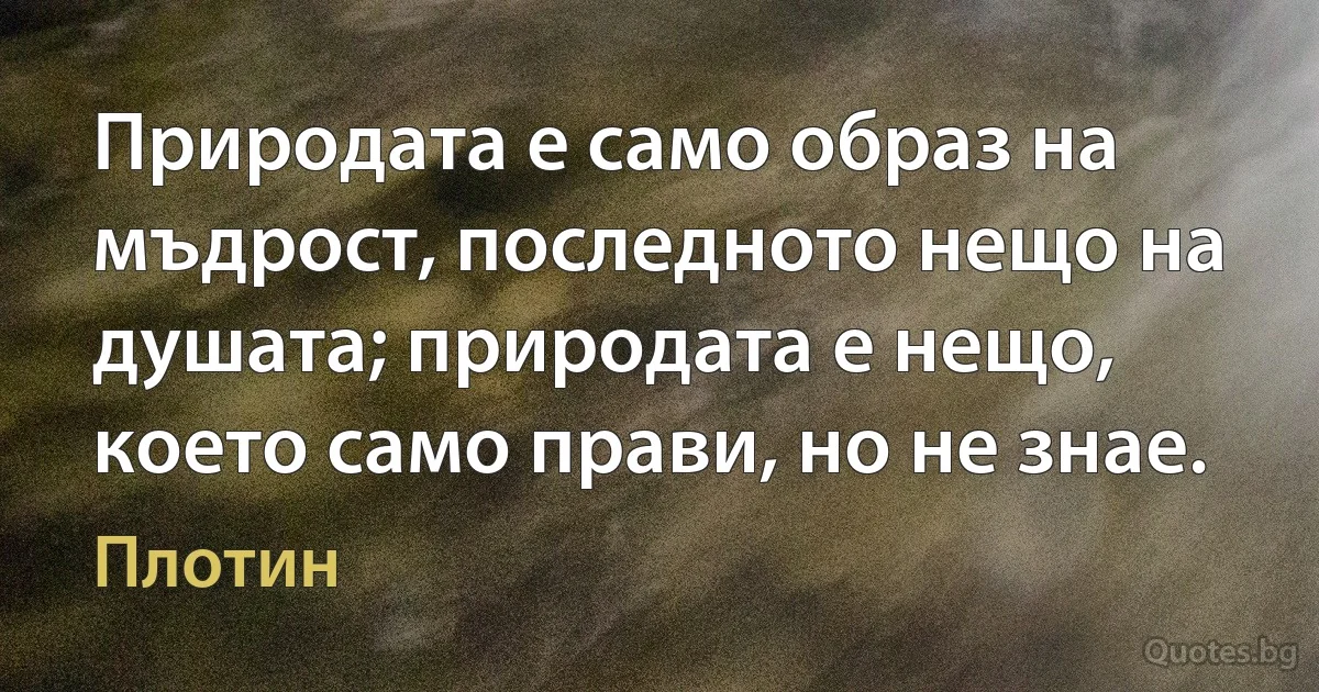 Природата е само образ на мъдрост, последното нещо на душата; природата е нещо, което само прави, но не знае. (Плотин)