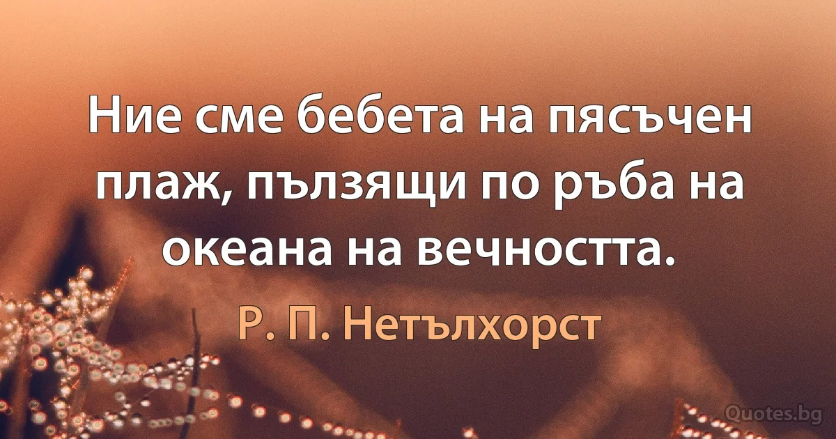 Ние сме бебета на пясъчен плаж, пълзящи по ръба на океана на вечността. (Р. П. Нетълхорст)