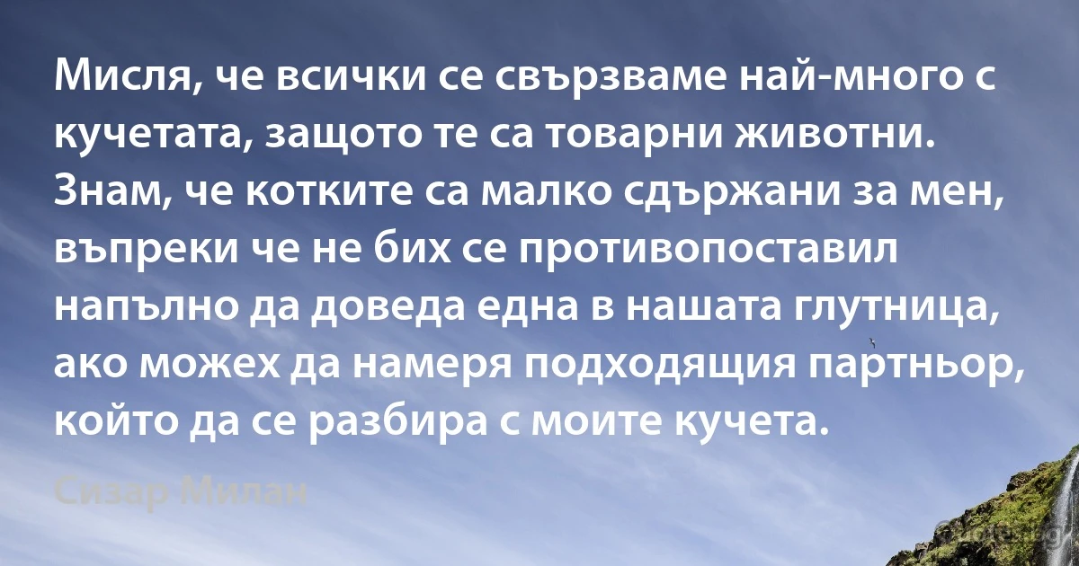 Мисля, че всички се свързваме най-много с кучетата, защото те са товарни животни. Знам, че котките са малко сдържани за мен, въпреки че не бих се противопоставил напълно да доведа една в нашата глутница, ако можех да намеря подходящия партньор, който да се разбира с моите кучета. (Сизар Милан)