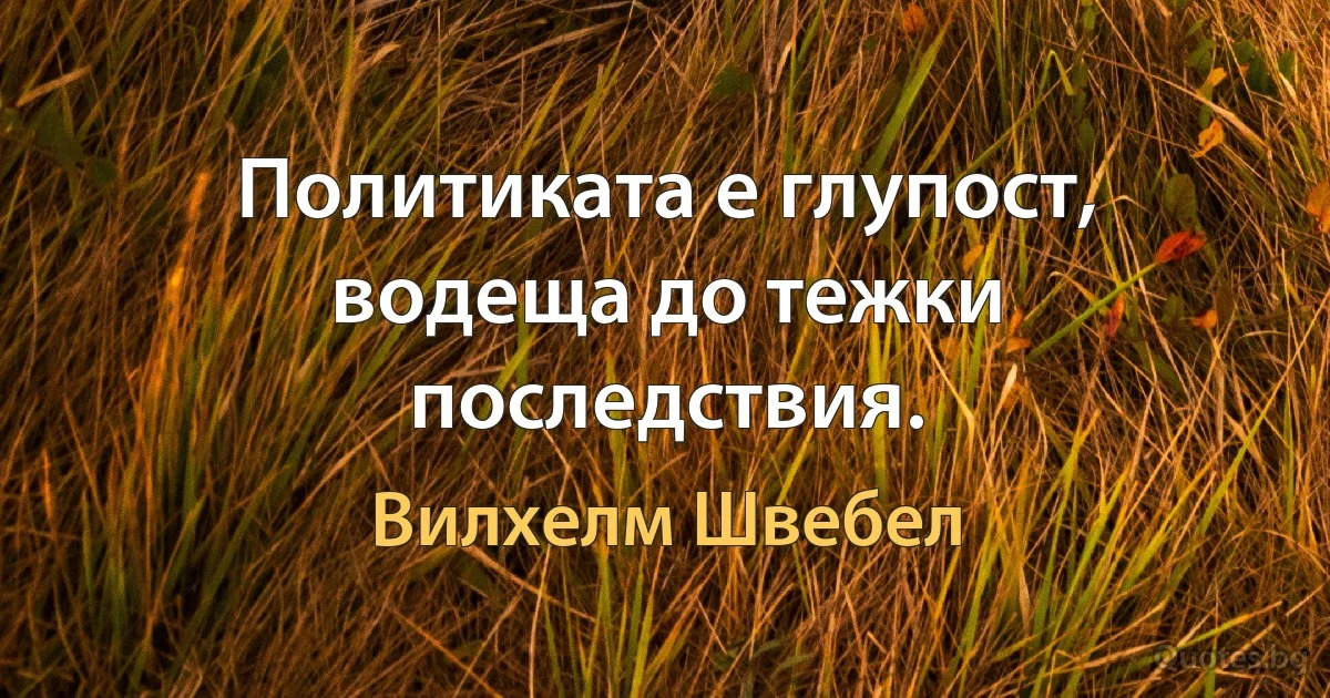 Политиката е глупост, водеща до тежки последствия. (Вилхелм Швебел)