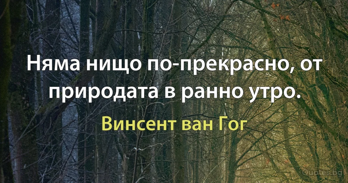 Няма нищо по-прекрасно, от природата в ранно утро. (Винсент ван Гог)