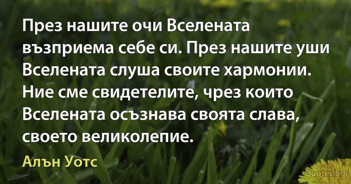 През нашите очи Вселената възприема себе си. През нашите уши Вселената слуша своите хармонии. Ние сме свидетелите, чрез които Вселената осъзнава своята слава, своето великолепие. (Алън Уотс)