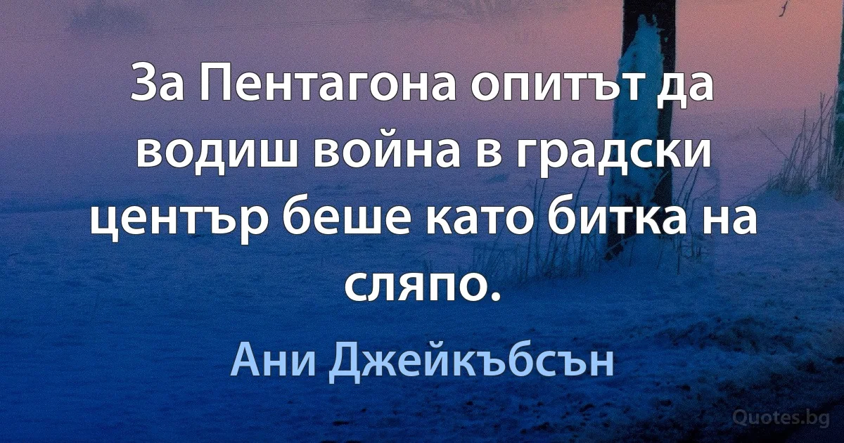 За Пентагона опитът да водиш война в градски център беше като битка на сляпо. (Ани Джейкъбсън)