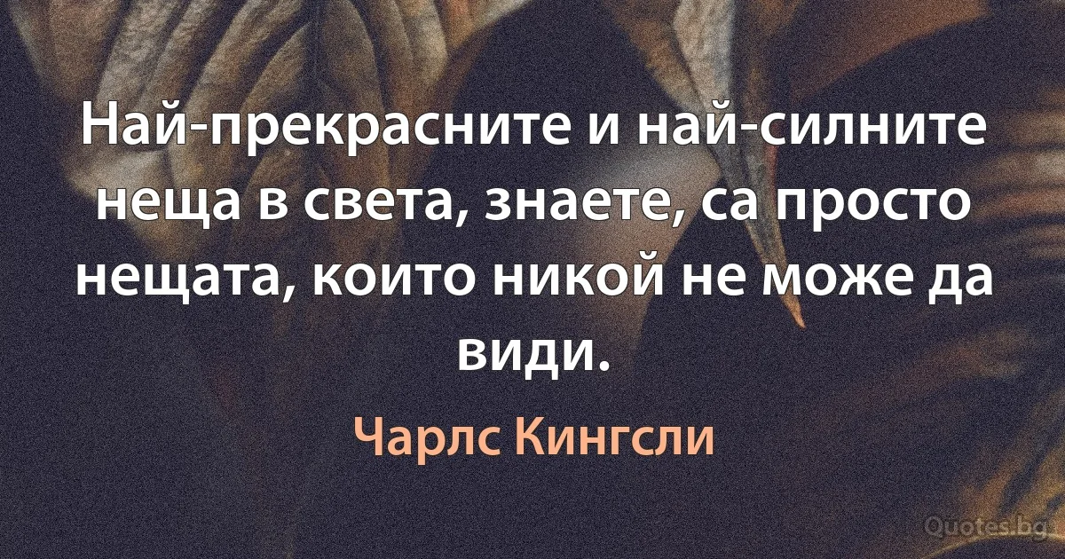 Най-прекрасните и най-силните неща в света, знаете, са просто нещата, които никой не може да види. (Чарлс Кингсли)