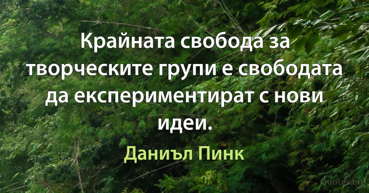 Крайната свобода за творческите групи е свободата да експериментират с нови идеи. (Даниъл Пинк)