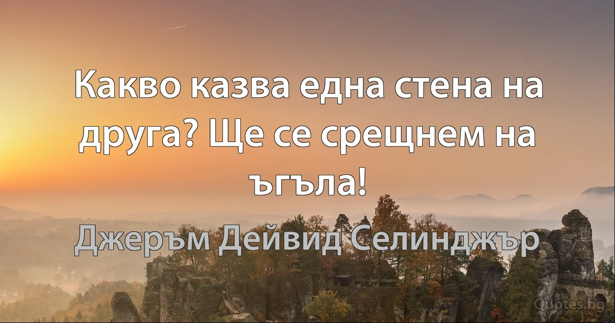 Какво казва една стена на друга? Ще се срещнем на ъгъла! (Джеръм Дейвид Селинджър)