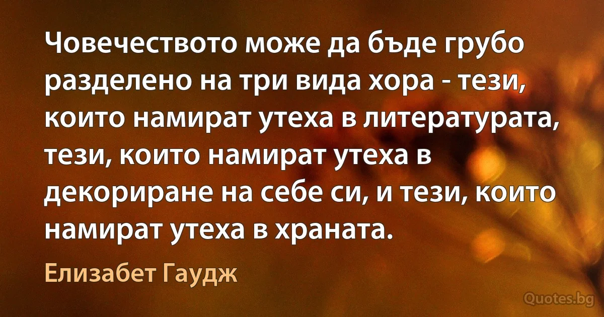 Човечеството може да бъде грубо разделено на три вида хора - тези, които намират утеха в литературата, тези, които намират утеха в декориране на себе си, и тези, които намират утеха в храната. (Елизабет Гаудж)