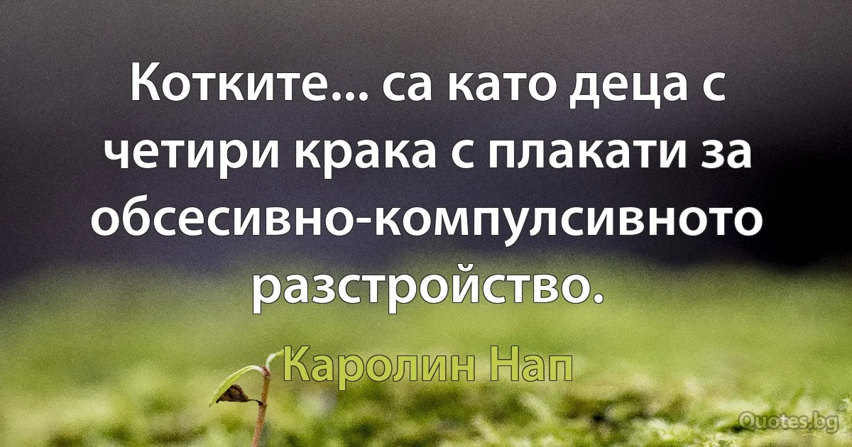 Котките... са като деца с четири крака с плакати за обсесивно-компулсивното разстройство. (Каролин Нап)