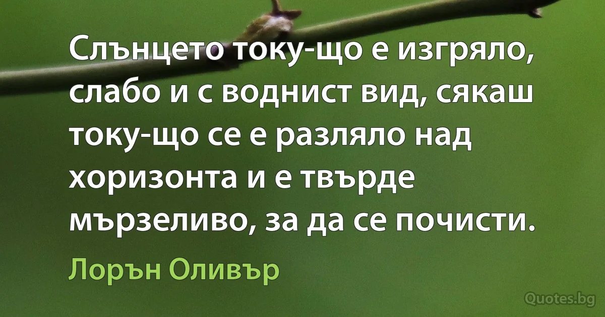 Слънцето току-що е изгряло, слабо и с воднист вид, сякаш току-що се е разляло над хоризонта и е твърде мързеливо, за да се почисти. (Лорън Оливър)