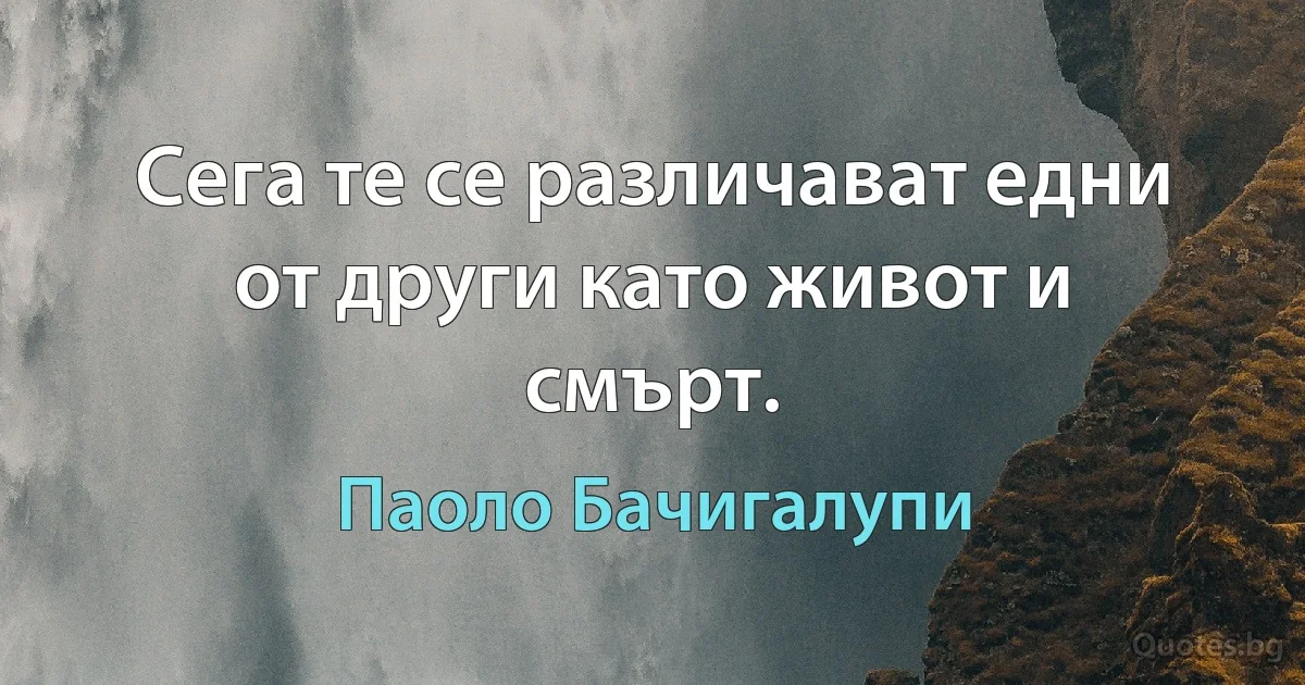 Сега те се различават едни от други като живот и смърт. (Паоло Бачигалупи)