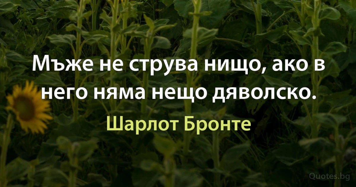 Мъже не струва нищо, ако в него няма нещо дяволско. (Шарлот Бронте)