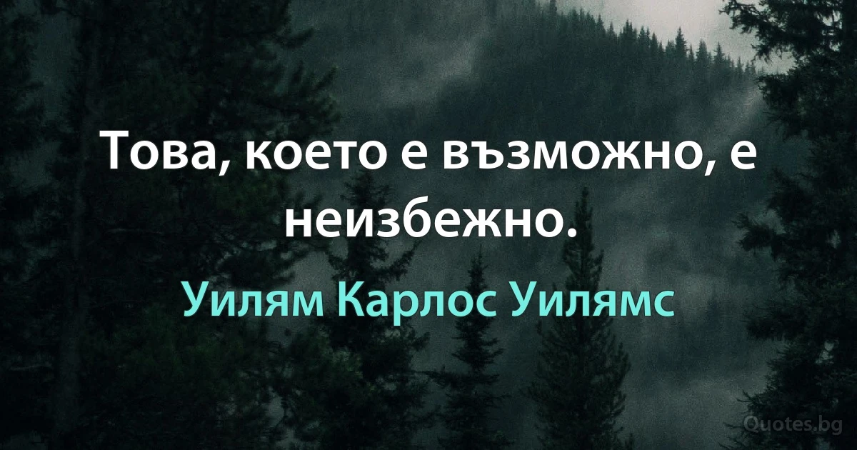 Това, което е възможно, е неизбежно. (Уилям Карлос Уилямс)