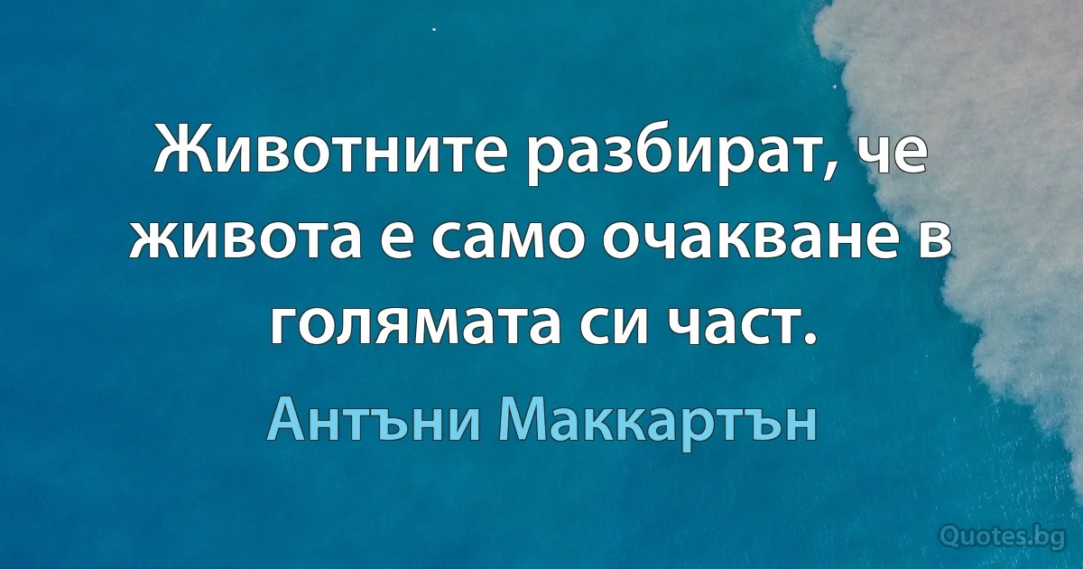 Животните разбират, че живота е само очакване в голямата си част. (Антъни Маккартън)