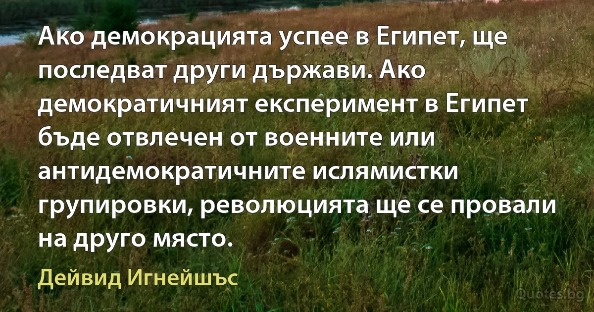 Ако демокрацията успее в Египет, ще последват други държави. Ако демократичният експеримент в Египет бъде отвлечен от военните или антидемократичните ислямистки групировки, революцията ще се провали на друго място. (Дейвид Игнейшъс)